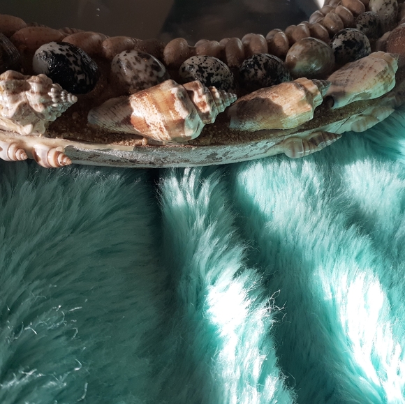 Shell Mirror - Picture 3 of 3